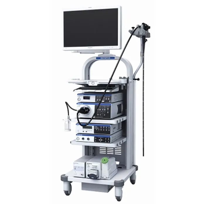 電子内視鏡装置